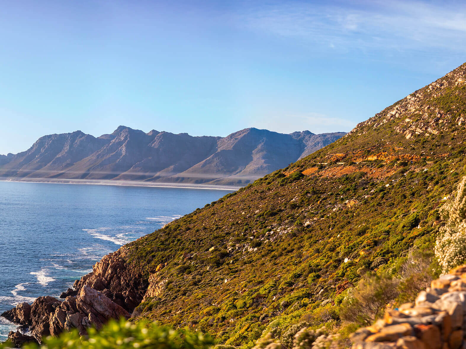 Bay Area Tax Planning Strategies for High Earners Approaching Retirement