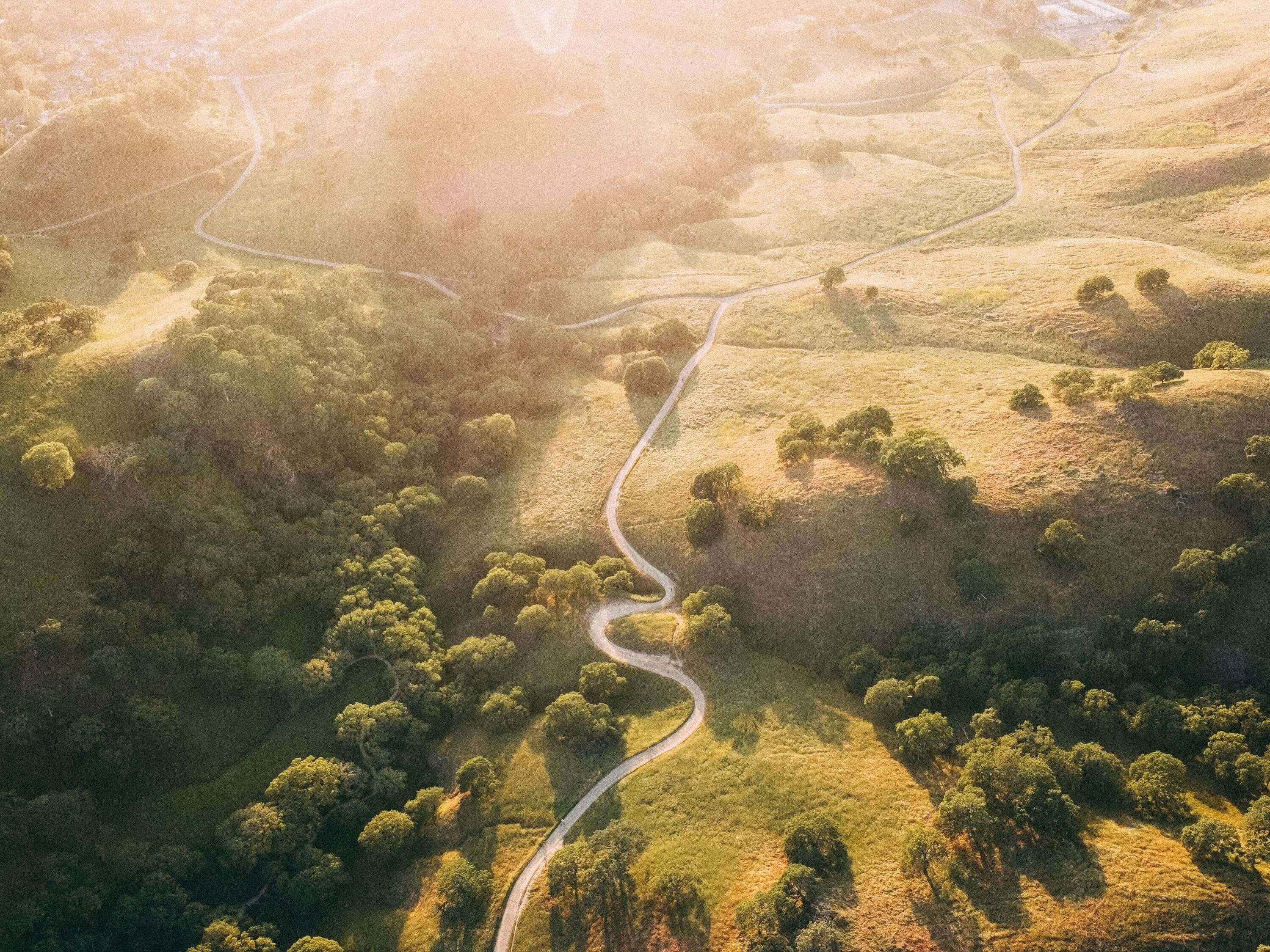 Working Longer Than You Have To: Why “One More Year” Is So Hard to Walk Away From